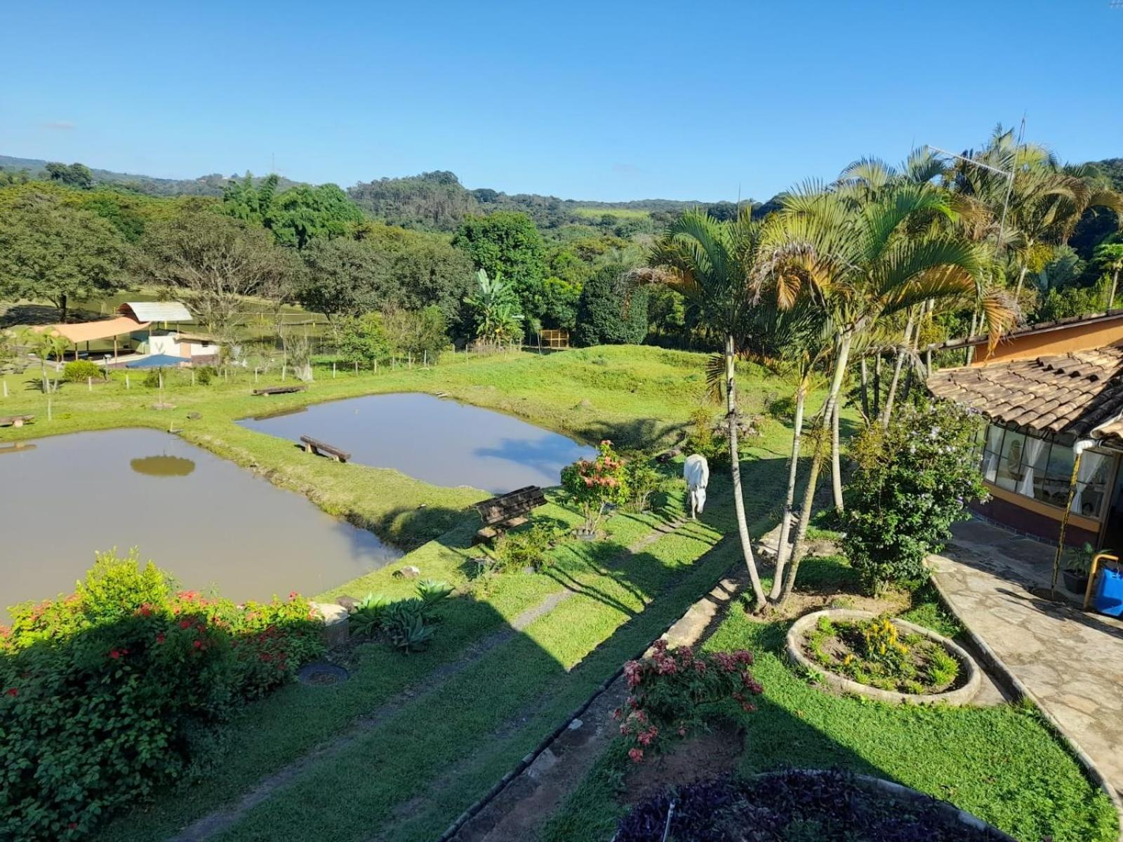 Pousada Balneario Cachoeira Do Moinho Belo Vale Exteriér fotografie